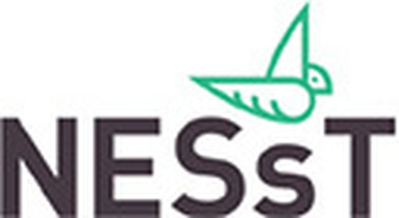 Gerando Falcoes logo